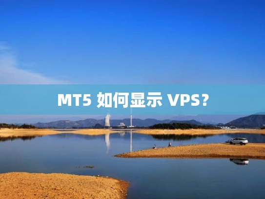 MT5 如何显示 VPS？