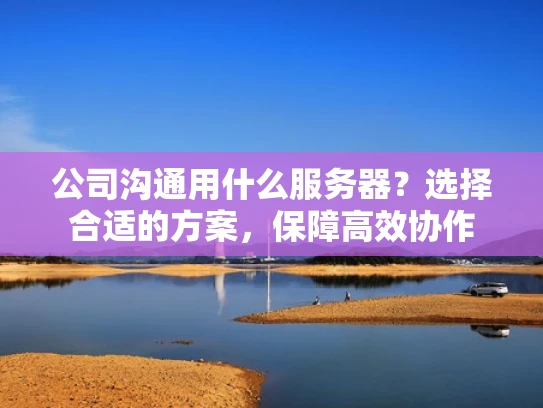 公司沟通用什么服务器？选择合适的方案，保障高效协作