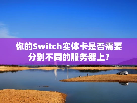 你的Switch实体卡是否需要分到不同的服务器上？