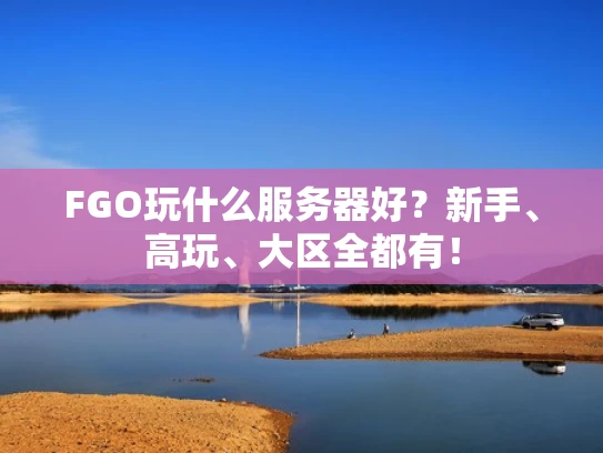FGO玩什么服务器好？新手、高玩、大区全都有！