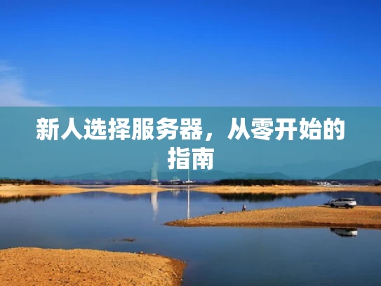 新人选择服务器，从零开始的指南