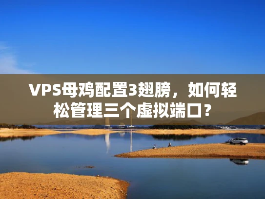 VPS母鸡配置3翅膀，如何轻松管理三个虚拟端口？