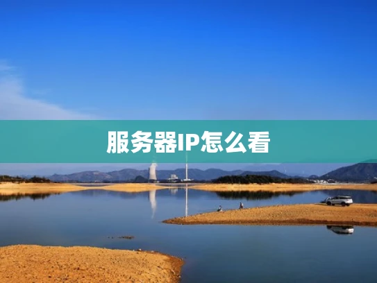 服务器IP怎么看