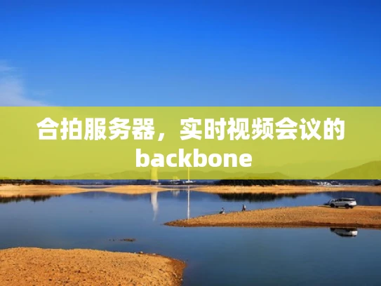 合拍服务器，实时视频会议的 backbone