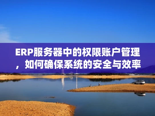 ERP服务器中的权限账户管理，如何确保系统的安全与效率