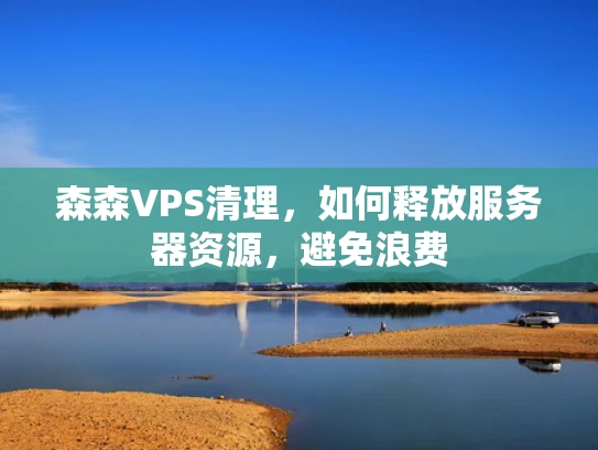 森森VPS清理，如何释放服务器资源，避免浪费