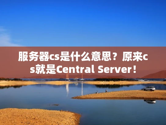 服务器cs是什么意思？原来cs就是Central Server！