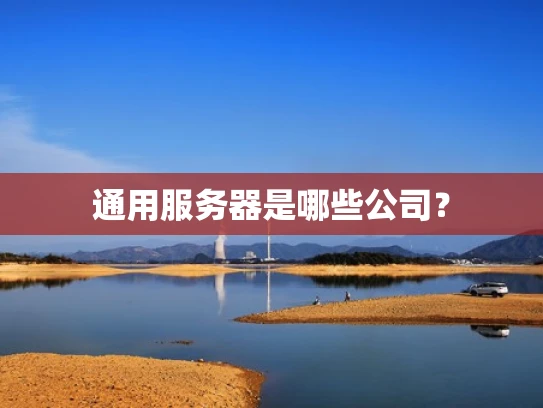 通用服务器是哪些公司？