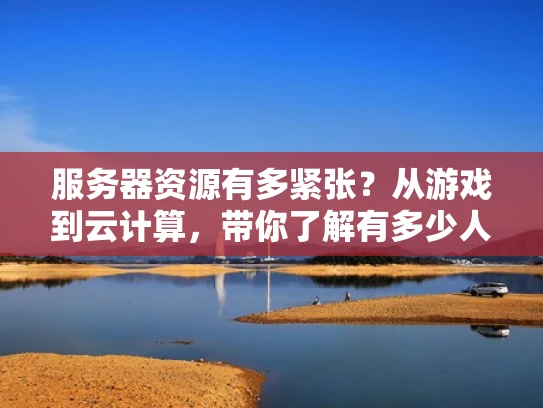服务器资源有多紧张？从游戏到云计算，带你了解有多少人用服务器