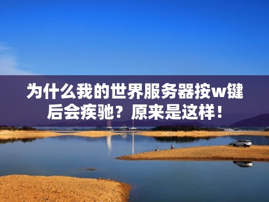 为什么我的世界服务器按w键后会疾驰？原来是这样！