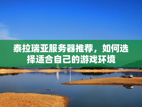 泰拉瑞亚服务器推荐，如何选择适合自己的游戏环境