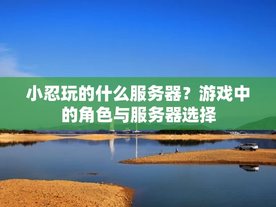 小忍玩的什么服务器？游戏中的角色与服务器选择