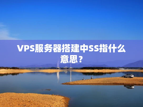 VPS服务器搭建中SS指什么意思？