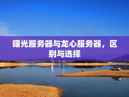 曙光服务器与龙心服务器，区别与选择