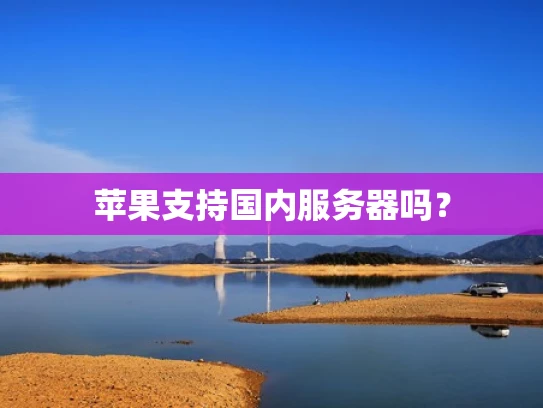 苹果支持国内服务器吗？