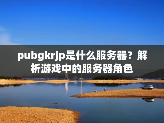pubgkrjp是什么服务器？解析游戏中的服务器角色