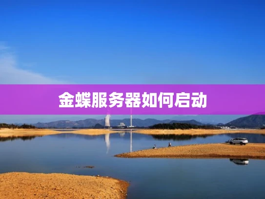 金蝶服务器如何启动