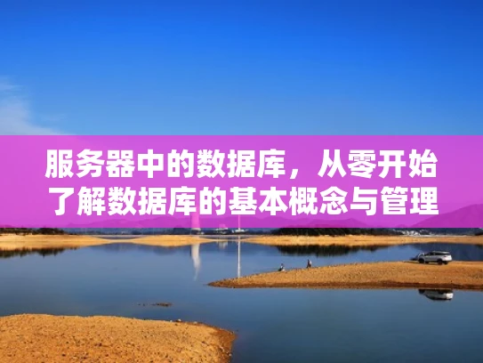 服务器中的数据库，从零开始了解数据库的基本概念与管理