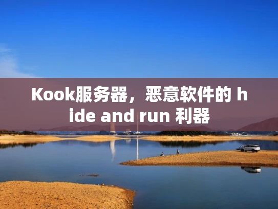 Kook服务器，恶意软件的 hide and run 利器