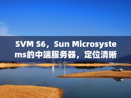 SVM S6，Sun Microsystems的中端服务器，定位清晰，性能均衡