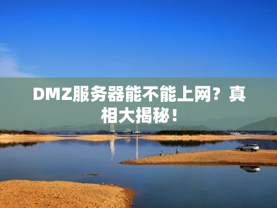 DMZ服务器能不能上网？真相大揭秘！