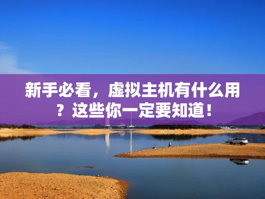 新手必看，虚拟主机有什么用？这些你一定要知道！