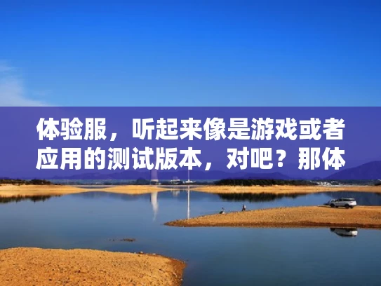 体验服，听起来像是游戏或者应用的测试版本，对吧？那体验服到底算什么服务器呢？其实，体验服和正式服的服务器还是有区别的，可能你没意识到