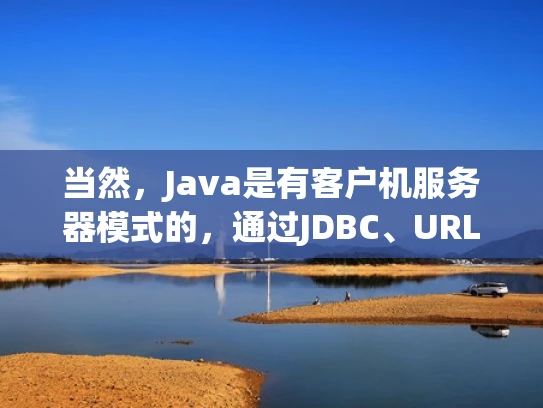 当然，Java是有客户机服务器模式的，通过JDBC、URL和Sockets等API，可以实现客户端和服务器之间的通信。以下是详细的解释