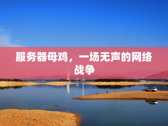 服务器母鸡，一场无声的网络战争