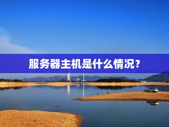 服务器主机是什么情况？