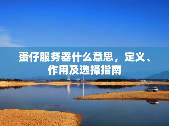 蛋仔服务器什么意思，定义、作用及选择指南