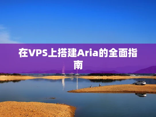在VPS上搭建Aria的全面指南