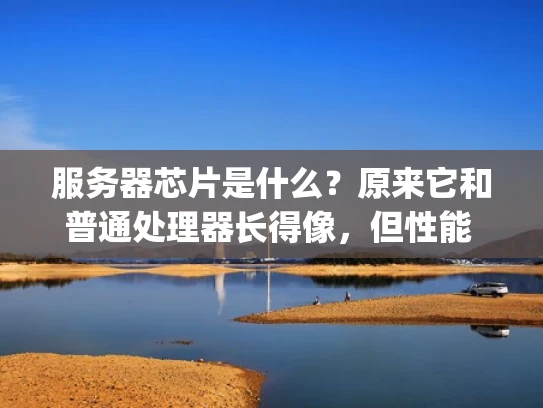 服务器芯片是什么？原来它和普通处理器长得像，但性能 totally 不一样！