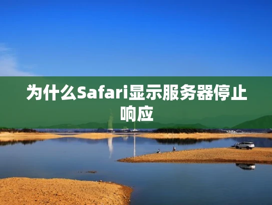 为什么Safari显示服务器停止响应