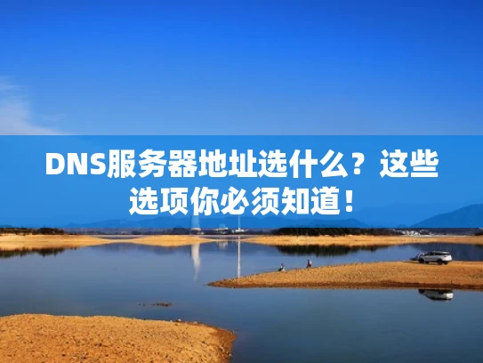 DNS服务器地址选什么？这些选项你必须知道！