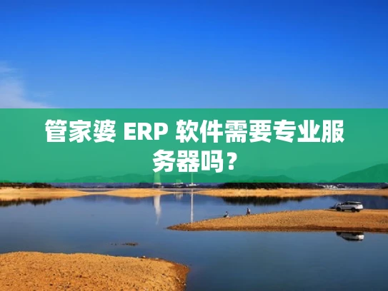 管家婆 ERP 软件需要专业服务器吗？