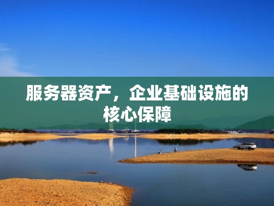 服务器资产，企业基础设施的核心保障