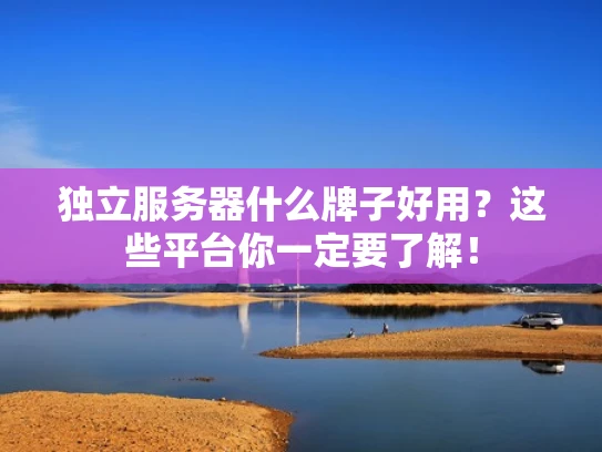 独立服务器什么牌子好用？这些平台你一定要了解！