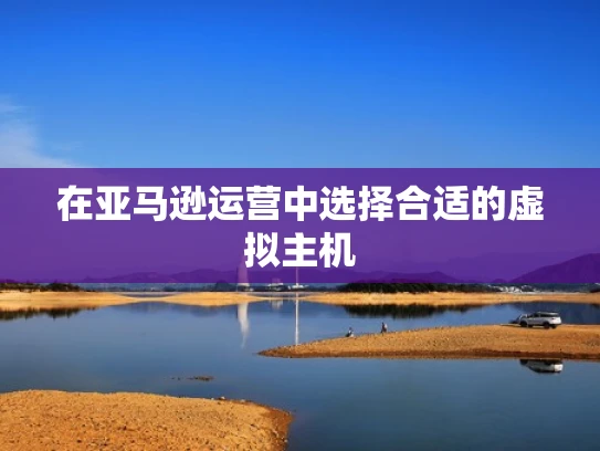 在亚马逊运营中选择合适的虚拟主机
