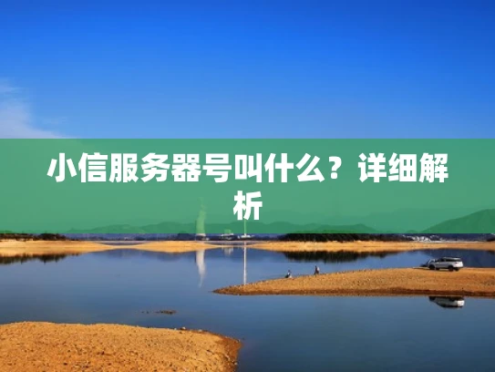 小信服务器号叫什么？详细解析