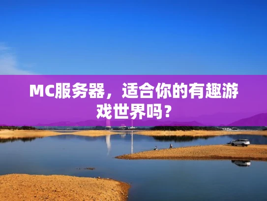MC服务器，适合你的有趣游戏世界吗？