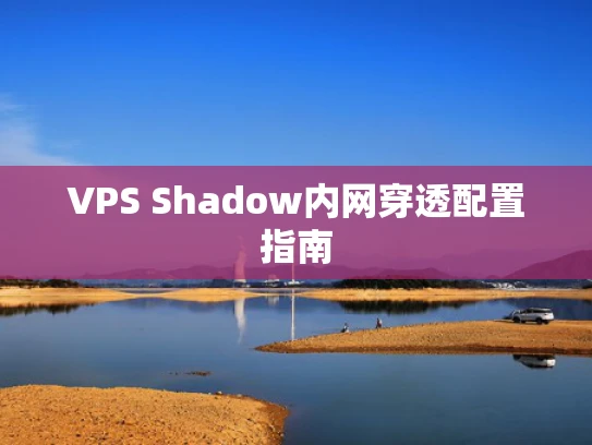 VPS Shadow内网穿透配置指南