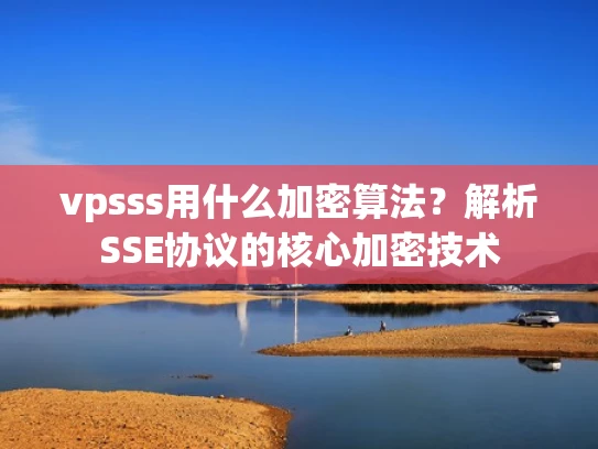 vpsss用什么加密算法？解析SSE协议的核心加密技术