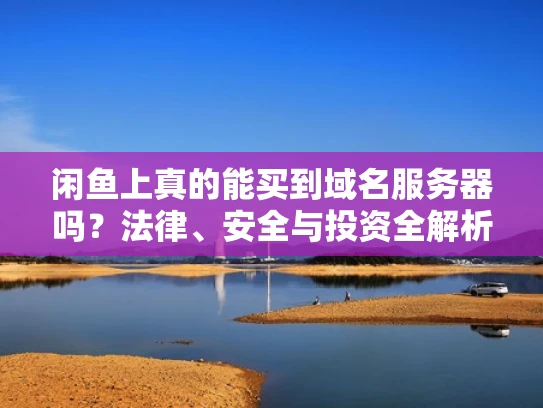 闲鱼上真的能买到域名服务器吗？法律、安全与投资全解析