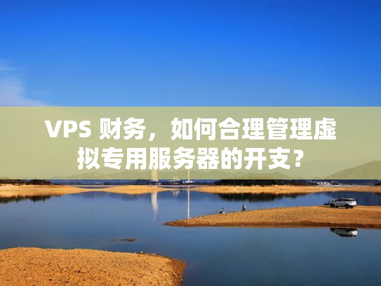 VPS 财务，如何合理管理虚拟专用服务器的开支？