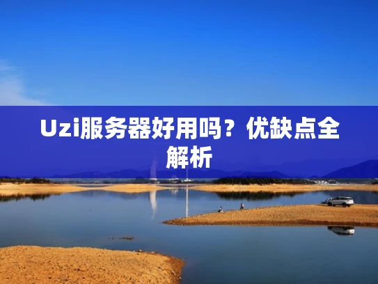 Uzi服务器好用吗？优缺点全解析