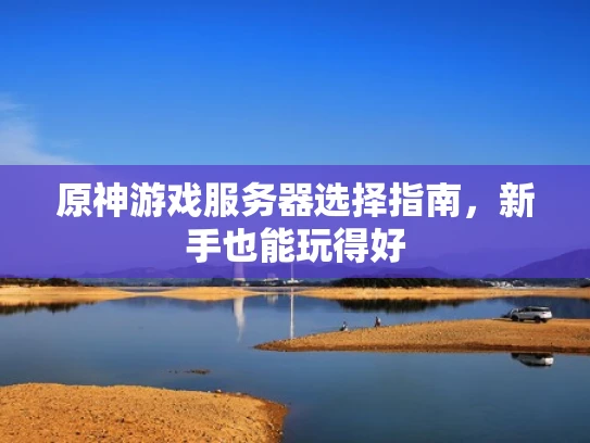 原神游戏服务器选择指南，新手也能玩得好