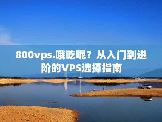 800vps.哦吃呢？从入门到进阶的VPS选择指南