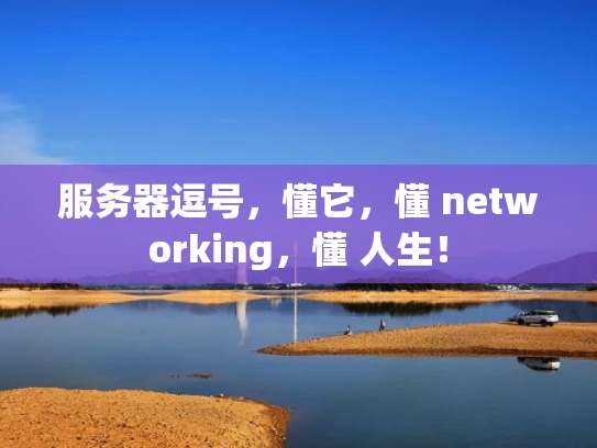 服务器逗号，懂它，懂 networking，懂 人生！