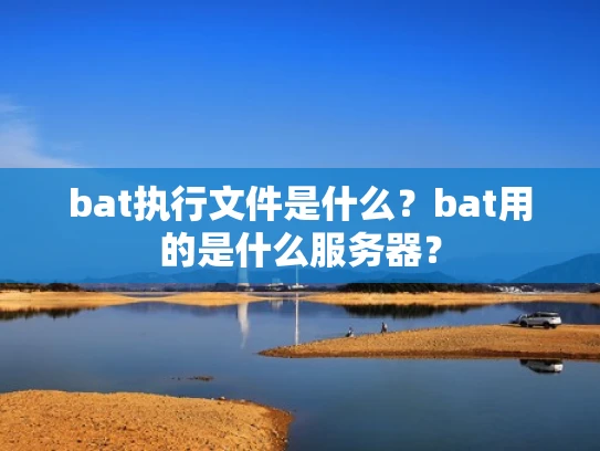 bat执行文件是什么？bat用的是什么服务器？